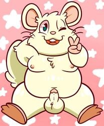 2021 anthro balls belly big_belly chest_tuft chubby_male cricetid genitals gesture hamster hi_res male mammal nipples nude oxynard penis rodent sinribbons solo tuft v_sign