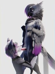 1boy 1girls 3:4 3d 3d_(artwork) 5_fingers adhina_(ruaidri) animated anthro anthro_on_anthro arm_feathers avian beak biped bird black_beak black_lips black_nose blender_(software) bodily_fluids breasts breath canid canine chest_tuft countershade_arms countershade_face countershade_torso countershading deep_throat digital_media_(artwork) drooling duo erection eyeshadow feathered_wings feathers fellatio female female_anthro female_penetrated femboysub femdom fingers fluffy fox fur genitals girly grey_body grey_feathers grey_fur grey_hair hair hand_on_butt hi_res highlights_(coloring) kneeling lips looking_at_another looking_down loop makeup male male/female male_anthro male_anthro/female_anthro male_penetrating male_penetrating_female malesub mammal mp4 multicolored_body multicolored_hair neck_tuft no_sound nude open_mouth oral oral_penetration oral_sex panting penetration penile penis portrait purple_body purple_eyes purple_eyeshadow purple_feathers purple_highlights ruaidri saliva saliva_string sex short_playtime simple_background standing standing_sex submissive submissive_male syandene tail_feathers tapering_penis tuft video white_background white_body white_countershading white_feathers winged_arms wings wolf