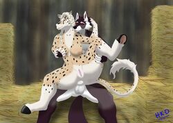 2021 absurd_res anthro anthro_on_anthro balls breast_grab breasts brown_body brown_fur canid canine canis cheetah digital_drawing_(artwork) digital_media_(artwork) duo equid equine eye_scar facial_scar felid feline female fur genitals hair hand_on_breast hay hi_res holykittydream horse hybrid leg_grab lydia_(gouks) male male/female mammal multicolored_body multicolored_fur nipples nude open_mouth pussy red_eyes scar signature smile spots tongue white_body white_fur white_hair wolf