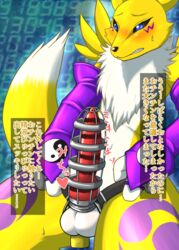 animal_genitalia animal_penis anthro bandai_namco canid canine canine_penis digimon digimon_(species) fid fur genitals gynomorph intersex japanese_text knot mammal naïve penis renamon solo text translation_request yellow_body yellow_fur