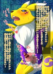 animal_genitalia animal_penis anthro bandai_namco canid canine canine_penis digimon digimon_(species) fid first_orgasm fox fur futanari genitals gynomorph herm intersex japanese_text mammal masturbation naïve penis renamon solo text translation_request yellow_body yellow_fur