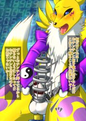 anthro bandai_namco canid canine digimon digimon_(species) fid fur genitals gynomorph intersex japanese_text mammal naïve penis renamon solo text translation_request yellow_body yellow_fur