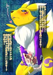 animal_genitalia animal_penis anthro bandai_namco canid canine canine_penis digimon digimon_(species) fid first_orgasm fur genitals gynomorph intersex japanese_text mammal masturbation naïve penis renamon solo text translation_request yellow_body yellow_fur