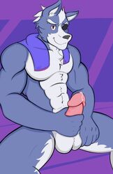 anthro balls bodily_fluids canid canine canis fur genital_fluids genitals grey_body grey_fur hi_res humanoid_genitalia humanoid_penis male male_only mammal muscular muscular_anthro muscular_male nintendo notedwolf penis precum smile solo star_fox video_games wolf wolf_o'donnell