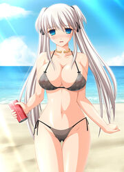 blue_eyes breasts huge_breasts kafu mabinogi nao swimsuit