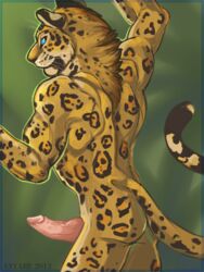 anthro anyare erection feline fur furry jaguar male male_only penis solo