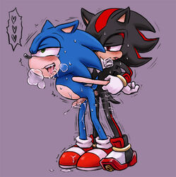 anthro blush exposed_torso footwear fur handwear hedgehog humanoid karlo male male_only mammal multiple_males nude penis rodent sega sex shadow_the_hedgehog shadow_the_hedgehog_(game) side_view sonic_(series) sonic_team sonic_the_hedgehog sonic_the_hedgehog_(series) tagme yaoi