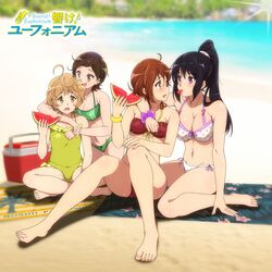 4girls beach bikini blush crossed_legs female female_only hibike!_euphonium hug katou_hazuki kawashima_sapphire kousaka_reina legs_held_open multiple_girls on_knees oumae_kumiko purple_eyes purple_hair sharing_food sitting sweat swimsuit swimwear tagme teenager watermelon yuri