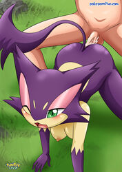 1boy 1girls anthro ass breasts faceless_male green_eyes human_on_anthro interspecies nipples one_eye_closed open_mouth outside pokémon_(species) pokemon pokemon_bw pokephilia pokepornlive purrloin sex tail