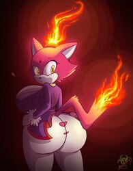 blaze the cat from sega by roga14