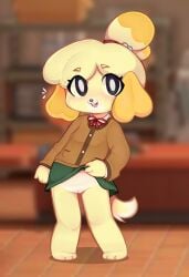 2025 absurd_res animal_crossing anthro biped black_nose blush blush_lines bottomwear breasts canid canine canis cardigan clothed clothing clothing_lift domestic_dog eyebrows female flashing flashing_pussy floppy_ears front_view genitals hair hair_bun hi_res inside isabelle_(animal_crossing) looking_at_viewer mammal molly_derp nintendo no_underwear open_mouth open_smile partially_clothed pussy shih_tzu skirt skirt_lift small_breasts smile solo standing tan_body teeth toy_dog