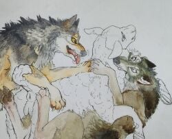 ambiguous_gender anus bite bovid briarlupine canid canine canis caprine female female/ambiguous feral feral_on_feral fur genitals group hi_res mammal painting_(artwork) predator/prey pussy sheep trio unfinished watercolor_(artwork) wolf wool_(fur)