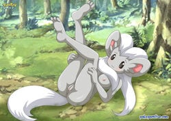 1girls anthro ass big_ears blush breasts cinccino feet female forest furry gray_nipples nipples pokémon_(species) pokemon pokemon_bw pokepornlive pussy solo tail white_hair