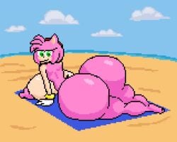 1girls 2d amy_rose animated ass barefoot beach beach_towel completely_nude completely_nude_female female female_only full_body huge_ass looking_at_viewer looking_back naked naked_female nude nude_female pixel_art solo solo_female sonic_(series) sonic_the_hedgehog_(series) tagme the_inclined_trunk towel video