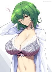 2d big_breasts bra breasts female green_hair huge_breasts kazami_yuuka large_breasts mattari_yufi red_eyes simple_background solo touhou yuka_kazami