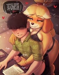 1boy 1girls 2025 5_fingers accessory animal_crossing anthro aroused artist_name balls biped black_clothing black_hair blonde_hair blush bodily_fluids bottomless bra breasts canid canine canis chair clothed clothing comic conditional_dnp dialogue digital_media_(artwork) domestic_dog duo english_text erection eyebrows eyelashes female fingers fur furniture furry genital_fluids genitals glans glistening glistening_breasts green_clothing green_eyes hair hair_accessory handjob heart heart_eyes heart_symbol hi_res human human_on_anthro humanoid_genitalia humanoid_penis inside interspecies interspecies_sex isabelle_(animal_crossing) male male/female mammal nintendo paper penile penis ponytail precum sex shih_tzu sitting smile tail text toy_dog underwear whisperfoot yellow_body yellow_fur