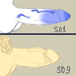 Dick Chart Rule 34 Image