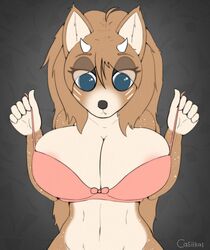 2021 absurd_res anthro big_breasts black_nose blue_eyes bra breasts canid canine canis casi_(casiika1) casiika1 clothed clothing digital_media_(artwork) facial_markings female fingers fur hair head_markings hi_res horn hybrid lingerie long_hair looking_at_self looking_down mammal markings mouth_closed partially_clothed removing_top side_boob snaggle_tooth solo spots spotted_body spotted_fur tight_clothing topwear underwear undressing wolf