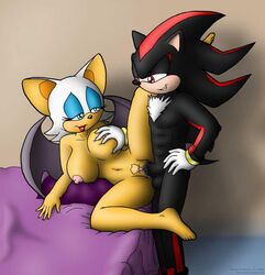 2009 anthro bat breasts compression_artifacts female furry hedgehog knownvortex male nipples penis pussy rouge_the_bat shadow_the_hedgehog sonic_(series) tagme wings