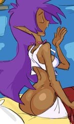shantae (character) from shantae by spiltchutney