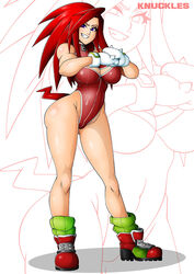 knora the echidna from sonic (series) by witchking00