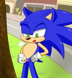 anthro blue_body blue_fur bodily_fluids clothing fur genital_fluids genitals gloves handwear male nude onechan outside peeing penile penis sega solo sonic_(series) sonic_the_hedgehog sonic_the_hedgehog_(series) tails urine watersports