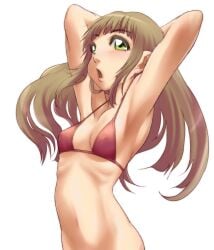 arms_up bad_id bad_pixiv_id bikini blush breasts brown_hair cleavage collarbone ear eyebrows_visible_through_hair female female green_eyes groin highres ketsune_majin long_hair open_mouth original red_bikini ribs simple_background skinny small_breasts swimsuit upper_body