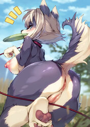 animal_ears anus areolae ass bent_over blue_eyes blurry blurry_background blush breasts censored collar day dog_ears dog_tail female frisbee from_behind furry grey_hair hansharu_(foxbut) highres leash looking_back mosaic_censoring mouth_hold multicolored_hair nipples original outdoors paw_pose pawpads puffy_nipples pussy short_hair solo standing standing_on_one_leg tail two-tone_hair white_hair
