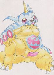 absurd_res animal_skin anthro anus bandai_namco belly blep blush digimon digimon_(species) erection gabumon genitals hi_res horn looking_at_viewer male moobs penis red_eyes slightly_chubby solo tabasukotrr tongue tongue_out traditional_media_(artwork) yellow_body