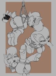 mobian (species) from sega by leatherruffian