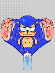 andromorph anthro bite biting_lip blep blue_body blue_fur blush bodily_fluids clitoris cum cuntboy cuntboy_focus cuntboy_penetrated ears_down eulipotyphlan fangs feet fur genital_fluids genitals green_eyes hedgehog humanoid intersex looking_at_viewer male mammal mastectomy_scar pawpads paws penetration penile penile_penetration penis penis_in_vagina pivoted_ears scar sega sonic_(series) sonic_the_hedgehog sonic_the_hedgehog_(series) spread_legs spreading sweat teeth tongue tongue_out trans_(lore) trans_man_(lore) translucent translucent_penis vaginal_fluids vaginal_penetration vulva wet ych_(character) zzcarnotauro