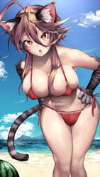 1futa arashi_yagatake beach big_breasts bikini breasts bulge cat_ears cat_tail catgirl futa_only futanari intersex large_breasts looking_at_viewer nkars original penis_in_panties small_penis solo yagatake_arashi yana_(nekoarashi)