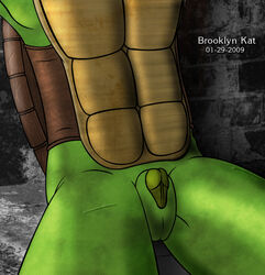 2009 brooklyn_kat male_only tagme teenage_mutant_ninja_turtles