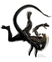 2010 alien_(franchise) kaji male_only male_xenomorph no_humans tagme xenomorph