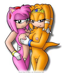 2d amy_rose anthro duo echidna female female_only gloves hedgehog huge_eyes knownvortex mobian mobian_(species) mobian_echidna mostly_nude sega smile sonic_(series) sonic_adventure sonic_the_hedgehog_(series) standing tagme tikal_the_echidna toony