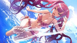 rei nikaido from arc system works