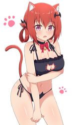 1girls bat_hair_ornament bell cat_bra cat_ears catgirl cleavage_cutout demon_girl embarrassed eyebrows_visible_through_hair female female_only gabriel_dropout kurumizawa_satanichia_mcdowell medium_breasts nyaroon oerba_yun_fang pale-skinned_female pale_skin paw_print purple_eyes simple_background string_panties sweatdrop