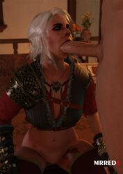 1boy 1girls 3d blender blowjob cd_projekt_red ciri facial_scar fellatio female mrred1 oral scar the_witcher the_witcher_(series) the_witcher_3:_wild_hunt white_hair