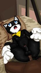 2boys 3_fingers 3_toes anal anal_sex anthro anus atlus balls bandana bed black_fur blue_eyes cat_ears cat_tail dark_skin detailed_background dulone eyes_rolling_back feet feline fur furry gay genitals head_on_pillow headgear holding_feet human human_on_anthro humanoid_penis indoors male male_only mask megami_tensei morgana_(persona) nipples nude open_mouth penis persona persona_5 pillow tail tongue two_tone_fur white_fur