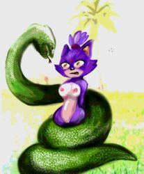 ambiguous_gender ambiguous_species anthro anthro_cat blaze_the_cat cat coiled coiling feline feline_humanoid feral feral_on_female feral_snake humanoid imminent_death imminent_vore knotalot lighter_underbelly mammal nipples purple_fur pussy restrained snake sonic_(series) sonic_the_hedgehog_(series) squamate tagme vore white_fur