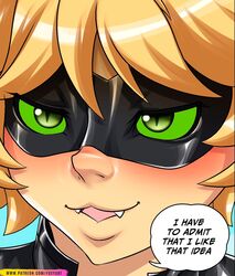 adrien agreste from miraculous ladybug by foxyart