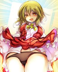 black_panties blush green_hair kana_(artist) looking_at_viewer looking_down orange_eyes panties presenting presenting_panties skirt skirt_lift standing tagme touhou yuka_kazami