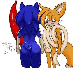 2010 blue_fur furry hedgehog hyper male_only mammal sega sonic_(series) sonic_team sonic_the_hedgehog sonic_the_hedgehog_(series) sonic_the_hedgehog_2 steve_farfan tagme tails what