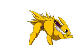 animal_genitalia animal_pussy anus ass black_pussy canid canine canine_pussy eeveelution female feral fur genitals hi_res jolteon looking_back mammal moderatelyashamed neck_tuft nintendo pokémon_(species) pokemon presenting presenting_hindquarters pussy simple_background solo tuft video_games white_background yellow_body yellow_fur