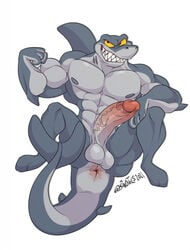 abs anthro anus balls banditails biceps fin fish flexing foxbtails genitals grey_body hi_res male male_only marine muscular muscular_anthro muscular_male nipples pecs penis shark sharko smile solo teeth vein veiny_penis zig_and_sharko