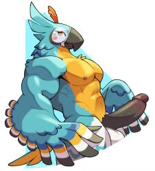 2023 abs anthro avian balls blue_body blue_feathers breath_of_the_wild erection feathers genitals hi_res kass_(tloz) male male_only muscular muscular_male nintendo nipples pecs penis rito solo the_legend_of_zelda voviat yellow_eyes