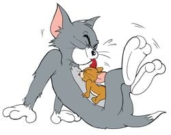 anal anal_sex atori black_nose brown_body catboy closed_eyes dipstick_tail feline gloves_(marking) grey_body interspecies jerry_mouse metro-goldwyn-mayer mouse mouse_boy pink_ears sex straining thick_eyebrows tom_and_jerry tom_cat tongue tongue_out whiskers yaoi