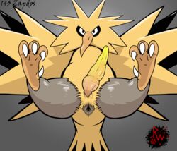 4_toes animal_genitalia anus ass avian beak big_penis bird claws digital_media_(artwork) erection feathers feet feral generation_1_pokemon genitals grey_anus hi_res legendary_birds legendary_pokémon legendary_trio looking_at_viewer male male_only nintendo penis pokemon presenting puffy_anus rapistwerewolf simple_background soles solo spread_legs spreading toes vein veiny_penis video_games wings yellow_body yellow_penis zapdos