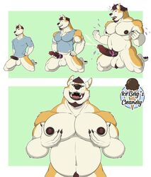 1ceberg absurd_res accessory anthro balls big_balls big_pecs big_penis bodily_fluids canid canine canis clothing cock_ring comic cum domestic_dog ejaculation erection expansion fray_(troubleclef) genital_fluids genitals growth growth_sequence hi_res humanoid husky jewelry kneeling male male_only mammal moobs musclegut muscular muscular_male nordic_sled_dog pec_grasp pecs penis penis_accessory penis_jewelry precum size_transformation slightly_chubby solo spitz teeth tight_clothing torn_clothing transformation