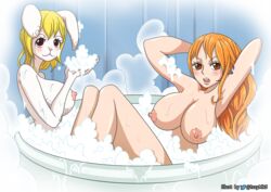 carrot (one piece) from one piece